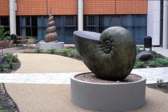 Shell-Forms-bronze